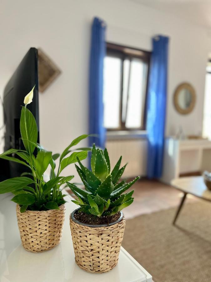 Sea Breeze House Apartment Fiumicino Exterior foto